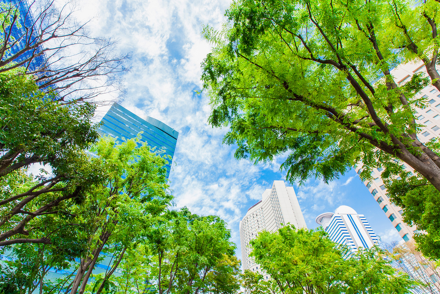 建物から社会へ